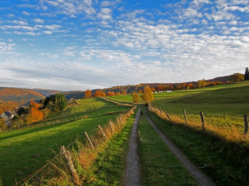 Bild0009