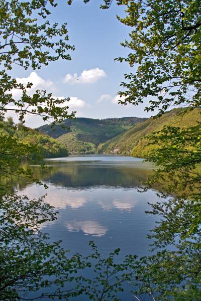 Bild0017