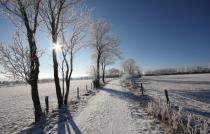 bild0006