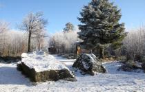 bild0007