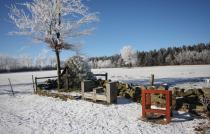 bild0009