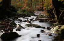 bild0012