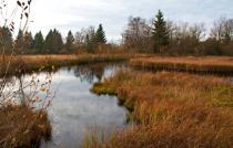bild0021