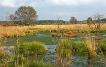 bild0024